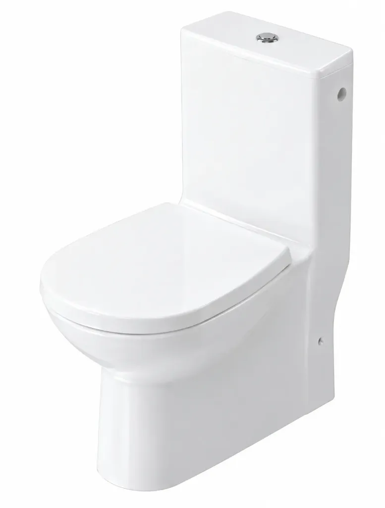 Ensemble WC Samanyolu Blanc Dos au Mur