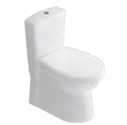 Ensemble WC Samanyolu Blanc Dos au Mur