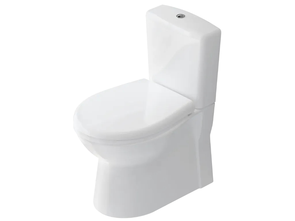 Samanyolu White Back to Wall WC Set (Soft Close)
