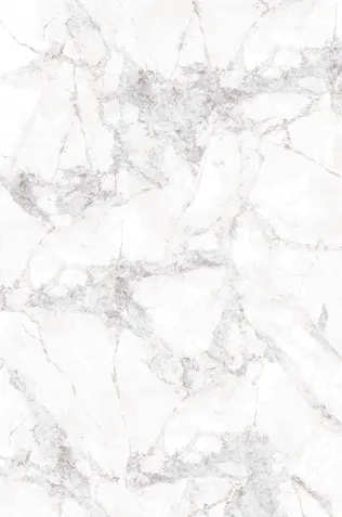 Carreau en porcelaine effet marbre blanc Slana Bookmatch