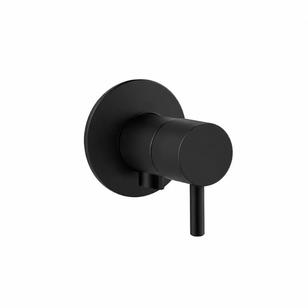 Black Wall-Mounted Single Lever Faucet with Round Backplate