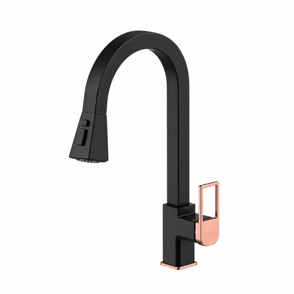Quadro Black High-Arc Pull-Out Spray Sink Faucet with Single Handle
