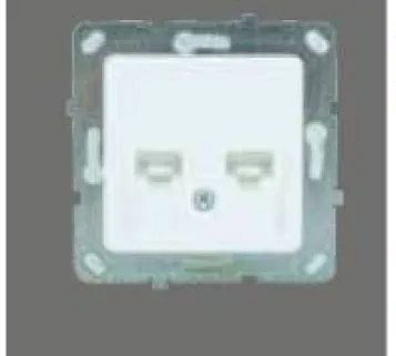 [00XX2119] DOUBLE DATA CANNOT JACK