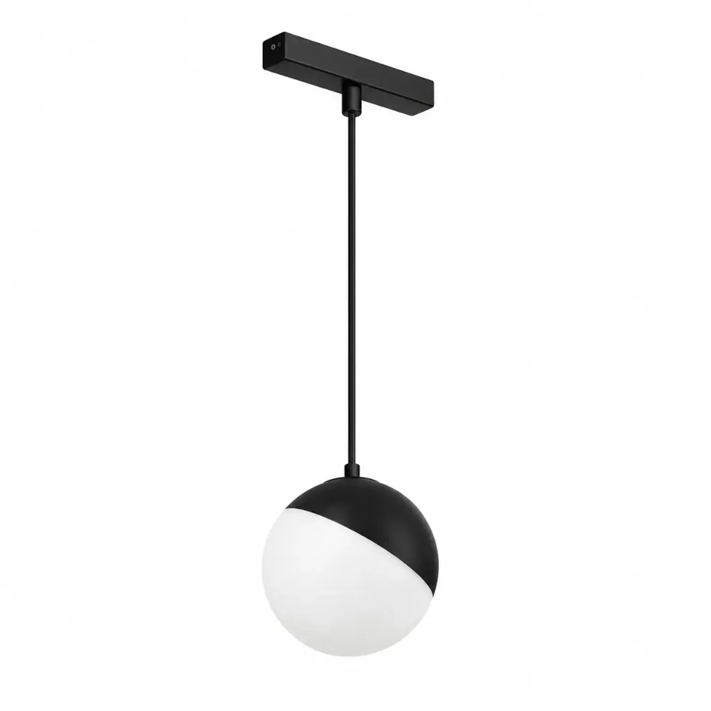 Black Magnetic Arm 22 mm 48 V 6 W 3000K Sphere Pendant Spotlight