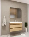 ARYA/B Grey MDF Bathroom Vanity with Ceramic Sink and Mirror Cabinet