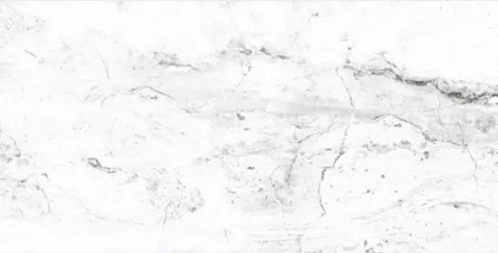 Alpin Ceramic 60 x 120 cm Marble-Effect Full Lappato Glazed Porcelain Tile