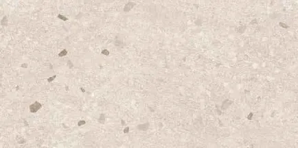 Terra Ceramic 60 x 120 cm Speckled Stone-Effect Glazed Porcelain Tile