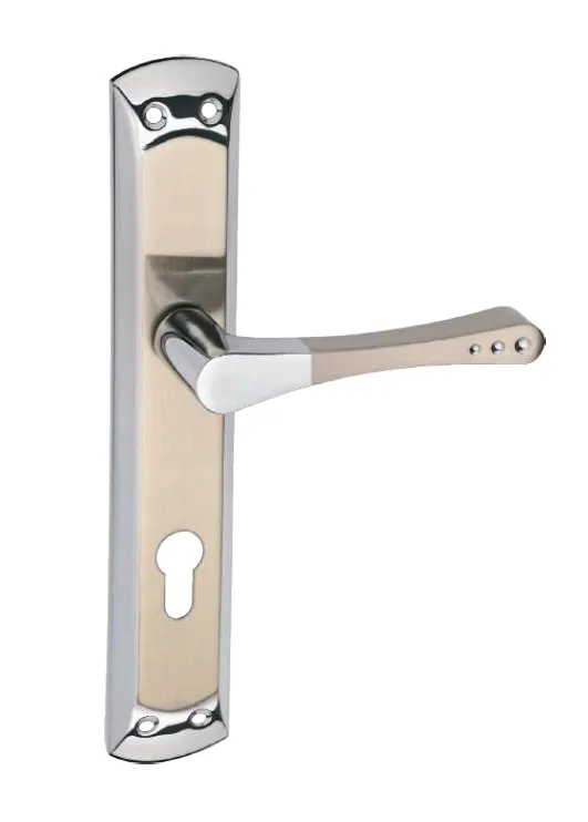 Paris Rozet Two-Tone Lever Interior Door Handle with Keyhole Plate